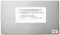Image Associated With the Occurence